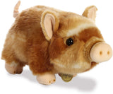 Adopt an Animal - Pig - Conservationist Level