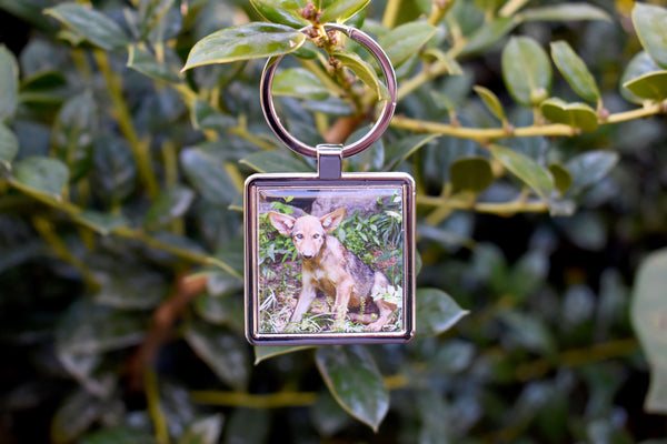 Red Wolf Pup Keychain