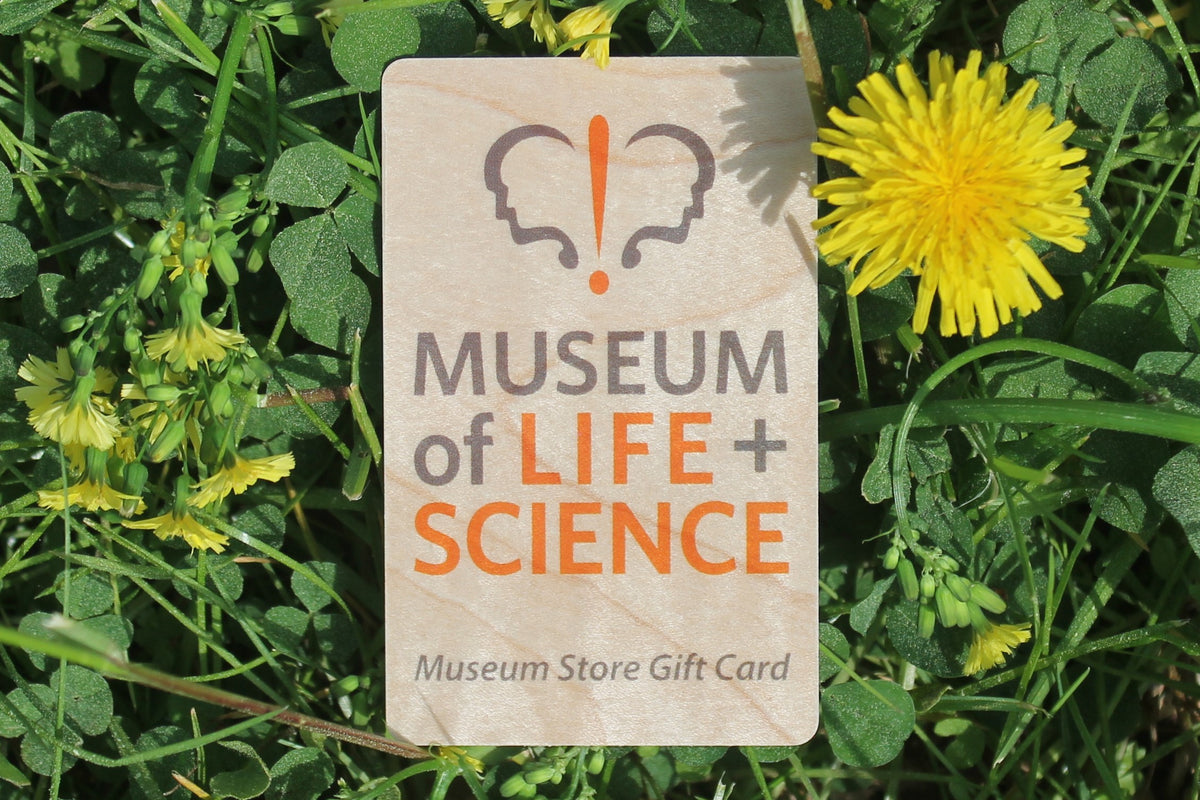 Gift Cards Elements Museum Store at the Museum of Life and Science