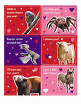 Museum of Life and Science Valentines