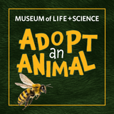 Honey Bee Adopt an Animal