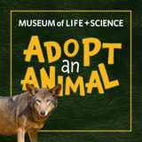 Red Wolf Adopt an Animal