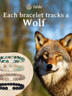 Fahlo Red Wolf Tracking Bracelet