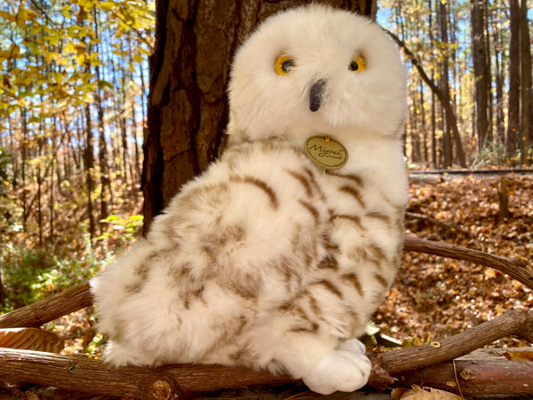 Miyoni Snowy Owl