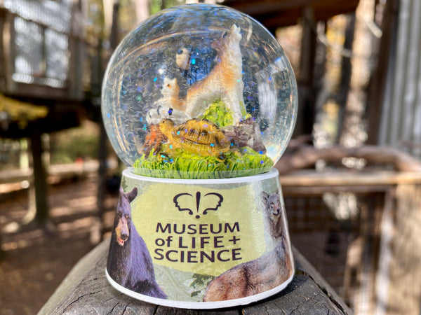 Museum Snow Globe