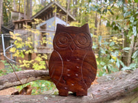 Owl Puzzle Box