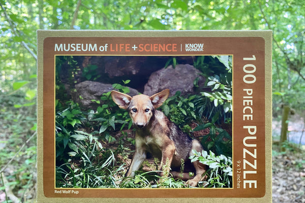 Red Wolf Pup Puzzle
