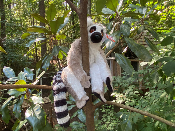 Ring Tailed Lemur Plush