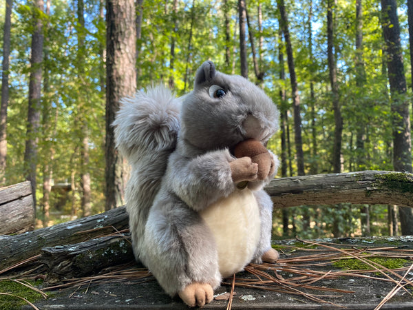 Miyoni Grey Squirrel