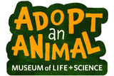 Black Bear Adopt an Animal