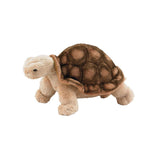 Tortoise Adopt an Animal