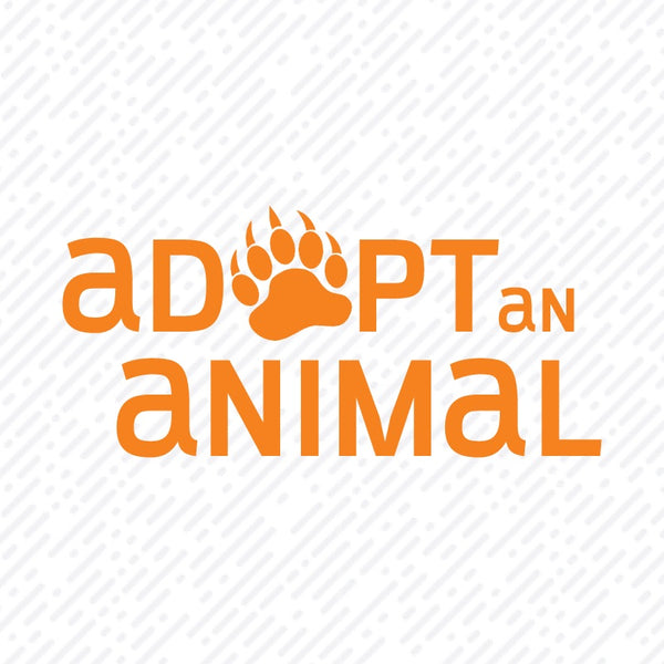 Adopt an Animal - Black Bear - Digital Level