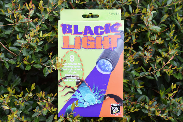 Block Light Science Activities – Elements Museum Store at the Museum of Life and Science