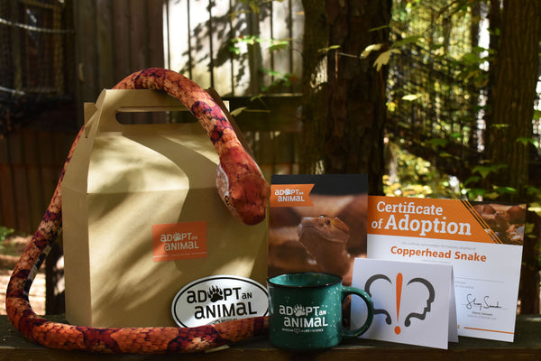 Adopt an Animal - Copperhead - Conservationist Level