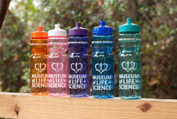 Pop-Top Water Bottle – Elements Museum Store at the Museum of Life