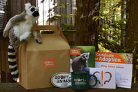 Adopt an Animal - Lemur - Conservationist Level