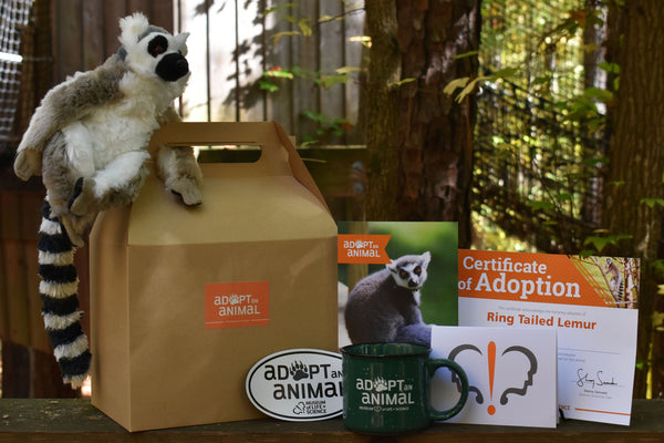Lemur Amigos Gift-Boxed Mug