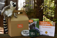 Adopt an Animal - Lemur - Naturalist Level