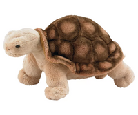 Adopt an Animal - Tortoise - Naturalist Level