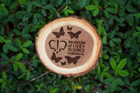 Butterfly Wood Slice Magnet